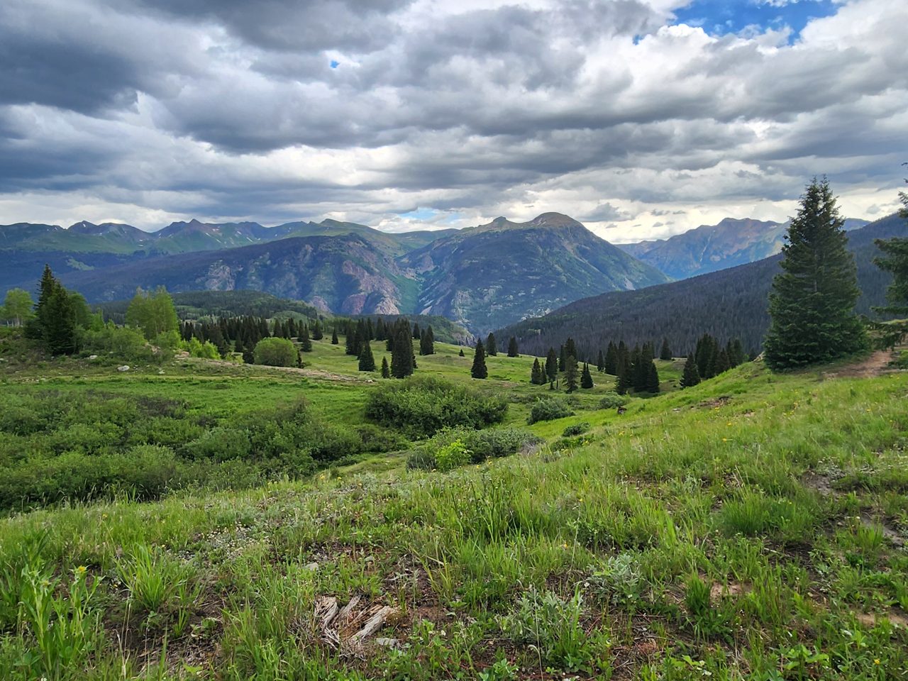A Colorado mountain meadow on an Elevation Nation trip